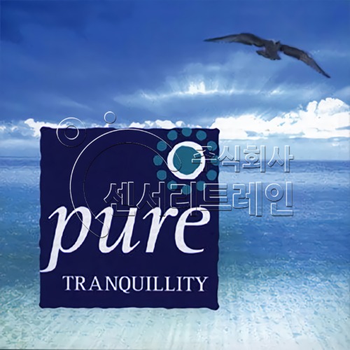 심리안정 힐링음악(Pure Tranquility / 순수고요) CD