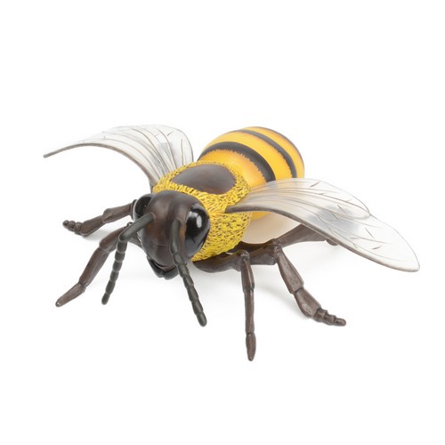 꿀벌